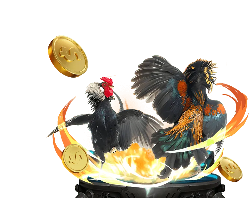 Hình ảnh mô tả các điều khoản dịch vụ và cam kết của 66f